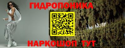 PSILOCYBIN Новозыбков