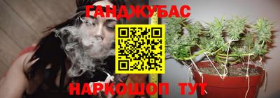 PSILOCYBIN Новозыбков