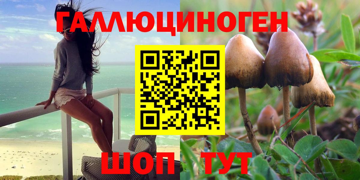 Фрязино  Галлюциногенные грибы Psilocybe  Вход с VPN 