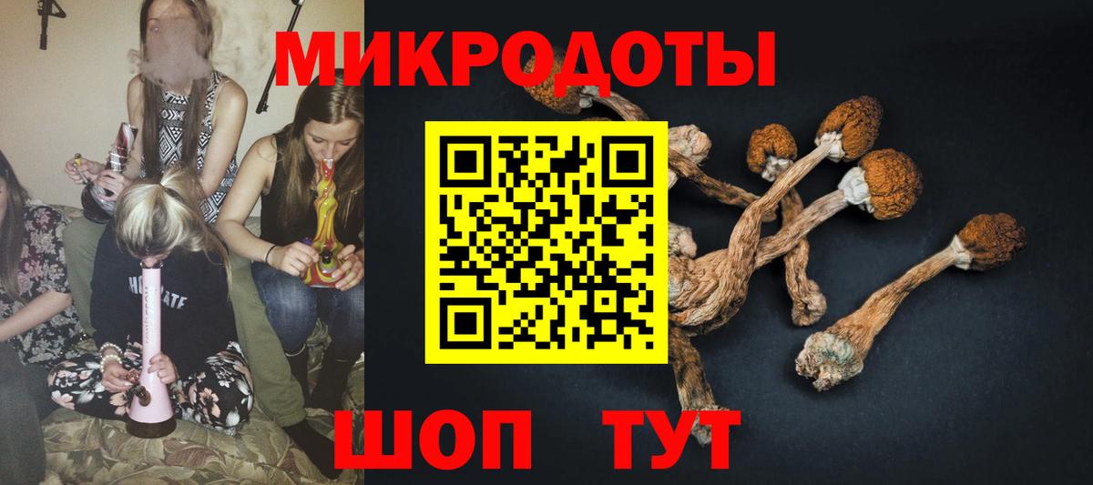 Псилоцибиновые грибы Psilocybine cubensis Фрязино
